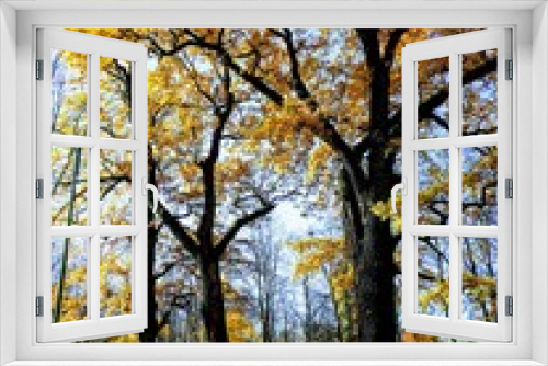 Fototapeta Naklejka Na Ścianę Okno 3D - Golden autumn