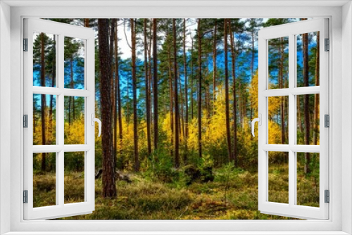 Fototapeta Naklejka Na Ścianę Okno 3D - Farben der Erde. Mischwald im Herbst. Franken.