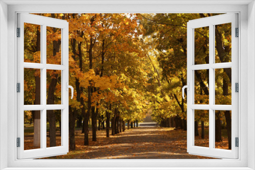 Fototapeta Naklejka Na Ścianę Okno 3D - Beautiful autumn park with trees and dry leaves on ground