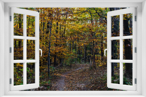 Fototapeta Naklejka Na Ścianę Okno 3D - las jesienią 