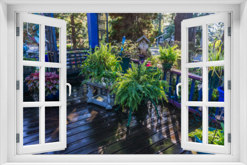 Fototapeta Naklejka Na Ścianę Okno 3D - Front Porch Ferns