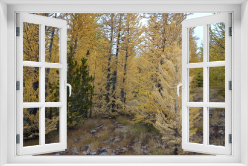 Fototapeta Naklejka Na Ścianę Okno 3D - Landscapes of the Pacific Northwest, Wshington State