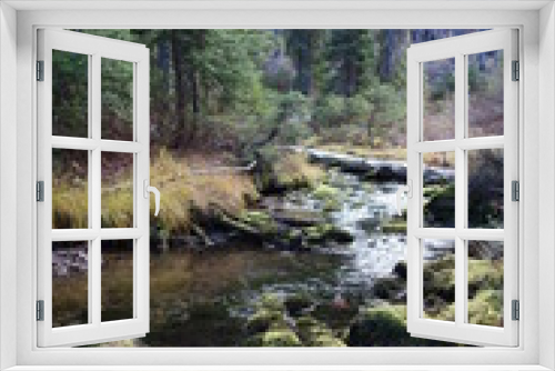 Fototapeta Naklejka Na Ścianę Okno 3D - Landscapes of the Pacific Northwest, Washington State