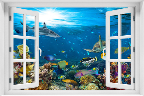 Fototapeta Naklejka Na Ścianę Okno 3D - underwater paradise background coral reef wildlife nature collage with shark manta ray sea turtle colorful fish background