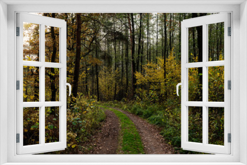 Fototapeta Naklejka Na Ścianę Okno 3D - Jesienny krajobraz 3