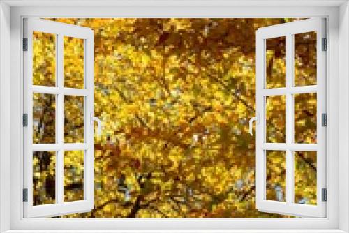 Fototapeta Naklejka Na Ścianę Okno 3D - Colorful leaves of autumn on ground
