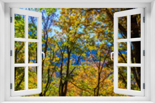 Fototapeta Naklejka Na Ścianę Okno 3D - Fall trees in Smokeys