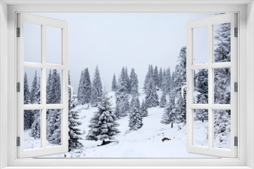 Fototapeta Naklejka Na Ścianę Okno 3D - Snowy fir trees