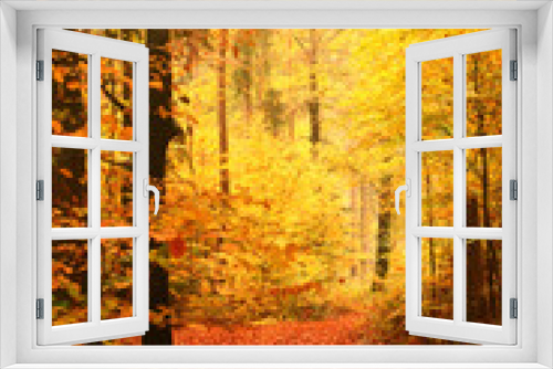 Fototapeta Naklejka Na Ścianę Okno 3D - Zauberhafter  wald     im Herbst