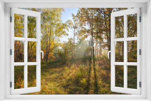 Fototapeta Naklejka Na Ścianę Okno 3D - Panorama of the autumn deciduous forest