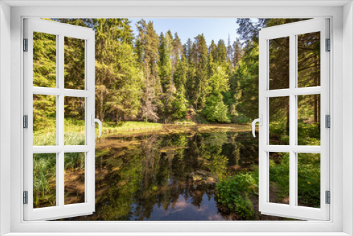 Fototapeta Naklejka Na Ścianę Okno 3D - calm river with reflections of trees in water in bright green foliage in summer