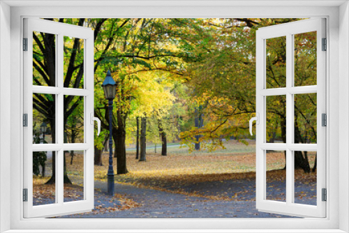 Fototapeta Naklejka Na Ścianę Okno 3D - Gelber Herbst in schöner Parklandschaft mit Straßenlaterne..