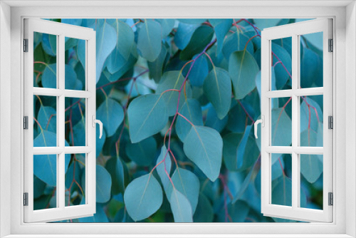 Fototapeta Naklejka Na Ścianę Okno 3D - Leaves