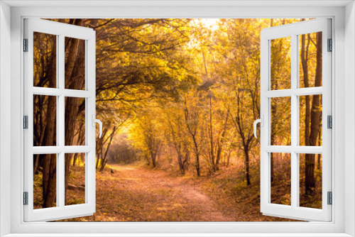 Fototapeta Naklejka Na Ścianę Okno 3D - picture of yellow autumnal trees
