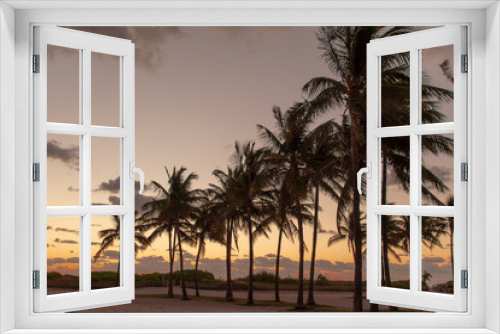 Fototapeta Naklejka Na Ścianę Okno 3D - tropical palm trees at sunrise or sunset