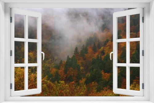 Fototapeta Naklejka Na Ścianę Okno 3D - 紅葉の渓谷