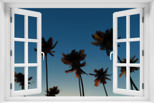 Fototapeta Naklejka Na Ścianę Okno 3D - Palm Trees