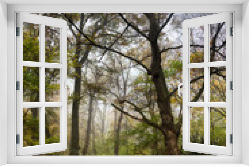 Fototapeta Naklejka Na Ścianę Okno 3D - Herbst im Wald 