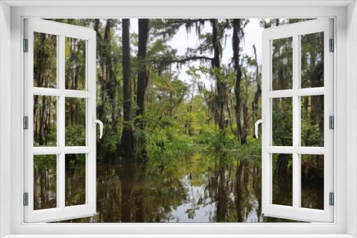 Fototapeta Naklejka Na Ścianę Okno 3D - Swamp in Louisiana