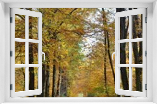 Fototapeta Naklejka Na Ścianę Okno 3D - Waldweg durch den sonnigen Herbst