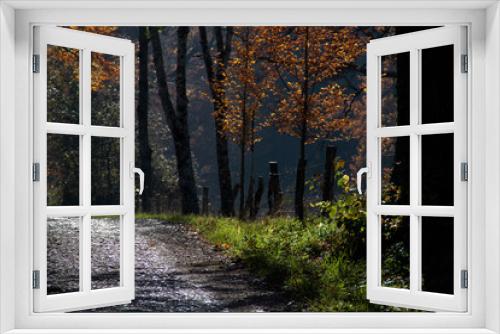 Fototapeta Naklejka Na Ścianę Okno 3D - Landschaften und Licht, Herbst