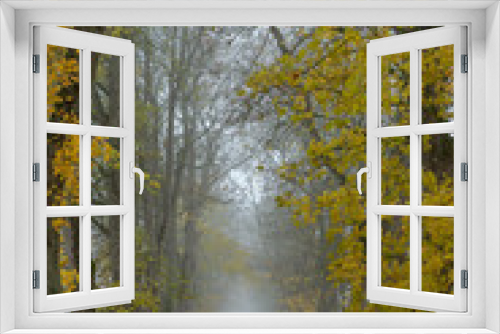 Fototapeta Naklejka Na Ścianę Okno 3D - Misty walk path