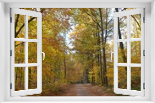 Fototapeta Naklejka Na Ścianę Okno 3D - Leuchtend bunter Herbstwald sonnig mit Weg