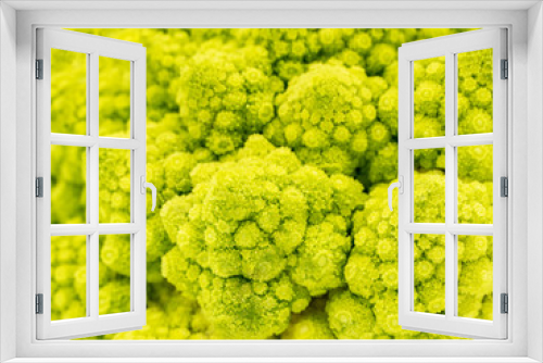 Fototapeta Naklejka Na Ścianę Okno 3D - Romanesco broccoli or Roman cauliflower background