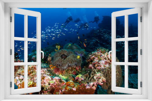 Fototapeta Naklejka Na Ścianę Okno 3D - Thriving, colorful tropical coral reef, surrounded by tropical fish
