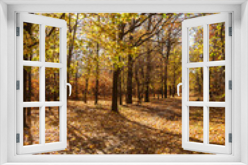 Fototapeta Naklejka Na Ścianę Okno 3D - Autumn forest with rays of warm light illuminating the golden foliage and footpath leading to the scene. Magnificent autumn scene in a colorful forest. Concept of beauty of the nature. Autumn calendar