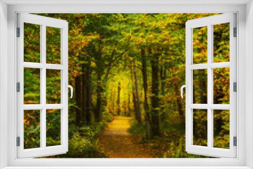 Fototapeta Naklejka Na Ścianę Okno 3D - Herbsttfarben imWald
