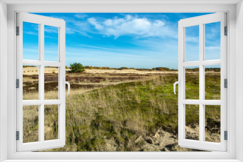 Fototapeta Naklejka Na Ścianę Okno 3D - Landscape with yellow sand dunes, trees and plants and blue sky, National park Druinse Duinen in North Brabant, Netherlands