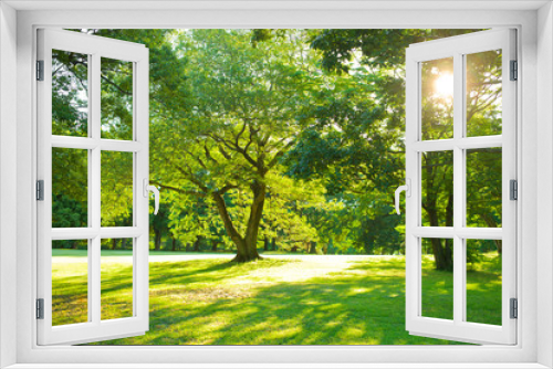 Fototapeta Naklejka Na Ścianę Okno 3D - morning garden