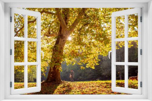 Fototapeta Naklejka Na Ścianę Okno 3D - Golden Autumn tree Landscape Nature fall Season