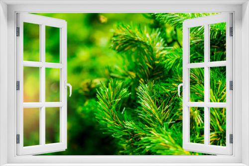 Fototapeta Naklejka Na Ścianę Okno 3D - Close up green Christmas tree