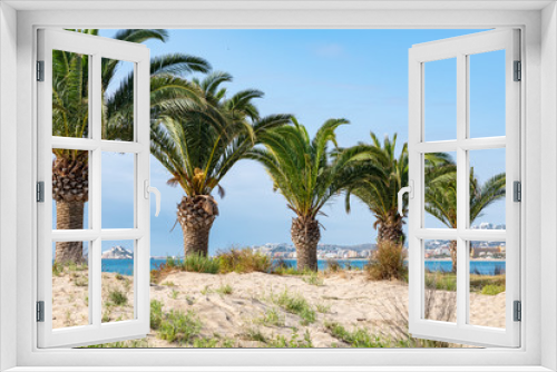 Fototapeta Naklejka Na Ścianę Okno 3D - Palm trees on the beach