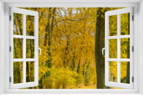 Fototapeta Naklejka Na Ścianę Okno 3D - Park im Herbst
