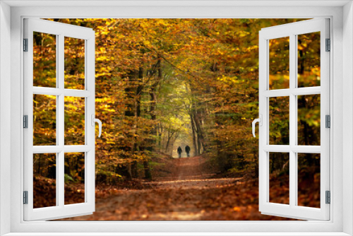 Fototapeta Naklejka Na Ścianę Okno 3D - Forest trail with hiking and sporty people in colorful autumn woods