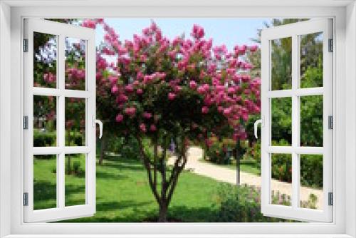 Fototapeta Naklejka Na Ścianę Okno 3D - tree in garden
