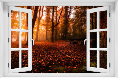 Fototapeta Naklejka Na Ścianę Okno 3D - Magic morning in the autumn forest