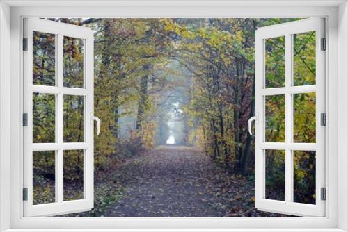 Fototapeta Naklejka Na Ścianę Okno 3D - Morning mood in the forest with light fog, path in the forest, with trees and scrub on the side