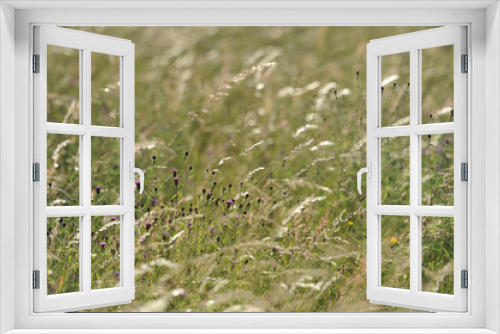Fototapeta Naklejka Na Ścianę Okno 3D - Weding 160618