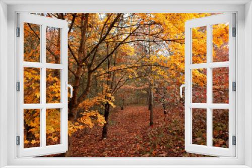 Fototapeta Naklejka Na Ścianę Okno 3D - Autumn leaves