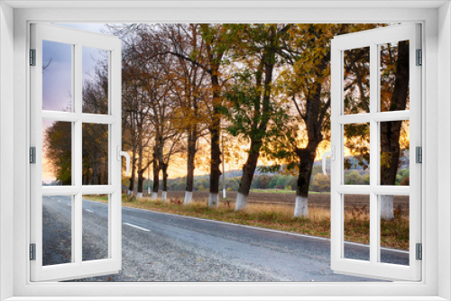 Fototapeta Naklejka Na Ścianę Okno 3D - Road. Asphalt road among autumn trees. Road marking. Dawn.