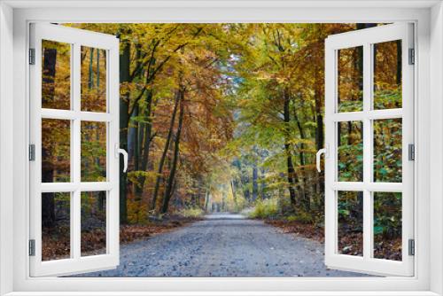 Fototapeta Naklejka Na Ścianę Okno 3D - Herbst in der Schorfheide