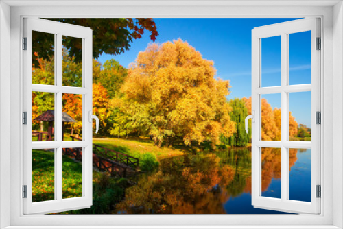 Fototapeta Naklejka Na Ścianę Okno 3D - Autumn nature in colorful park on lake