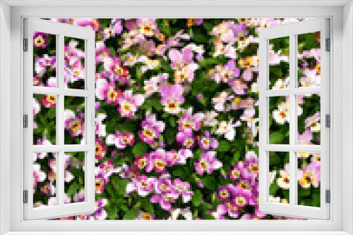 Fototapeta Naklejka Na Ścianę Okno 3D - seamless background with flowers