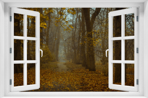 Fototapeta Naklejka Na Ścianę Okno 3D - Złota jesień w parku