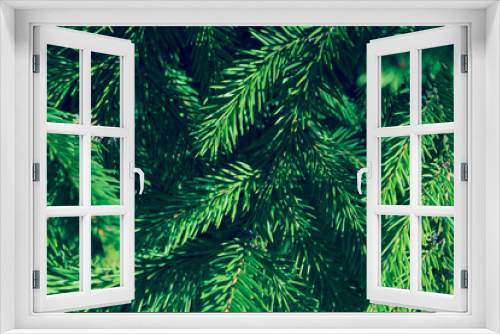 Fototapeta Naklejka Na Ścianę Okno 3D - Cropped Shot Of Pine Branch. Abstract Nature Background. Trees, Nature, Christmas Concept.
