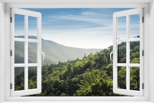 Fototapeta Naklejka Na Ścianę Okno 3D - Linville Gorge Summer